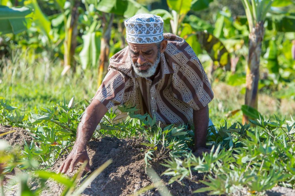 Tanzania Government To Invest More In Spice Farming African Agri