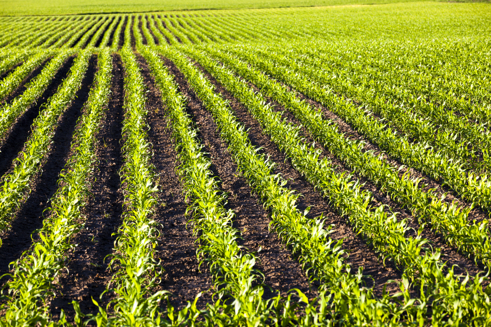 Anuvia raises $103 million to commercialize its novel fertilizer ...