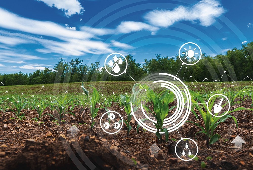 Artificial Intelligence for the benefit of Morocco's Agriculture - African Agri Magazine